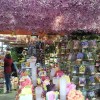 Foto0732