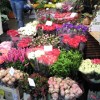 Foto0734